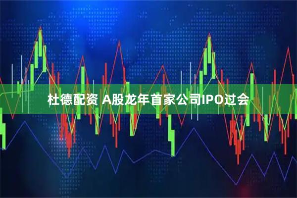 杜德配资 A股龙年首家公司IPO过会