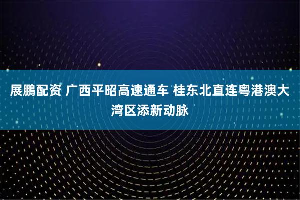 展鵬配资 广西平昭高速通车 桂东北直连粤港澳大湾区添新动脉